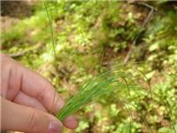 中國(guó)農(nóng)業(yè)黃頁(yè) 名錄 中國(guó)農(nóng)業(yè)公司 廠家 八方資源網(wǎng)農(nóng)業(yè)黃頁(yè)