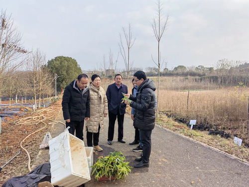 中藥材所栽培團(tuán)隊(duì)赴武漢市林業(yè)工作站開(kāi)展合作交流